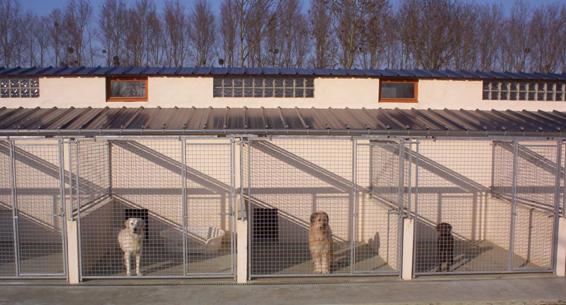 Pension chien somme picardie