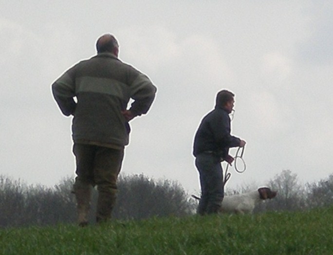 dressage chiens somme picardie