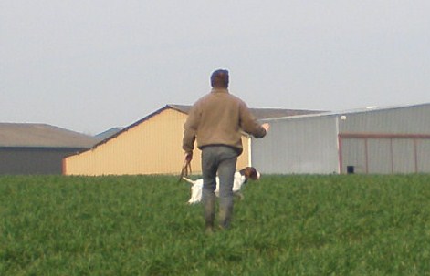 dressage chiens somme picardie