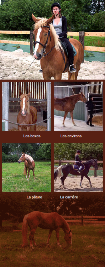 pension chevaux somme picardie